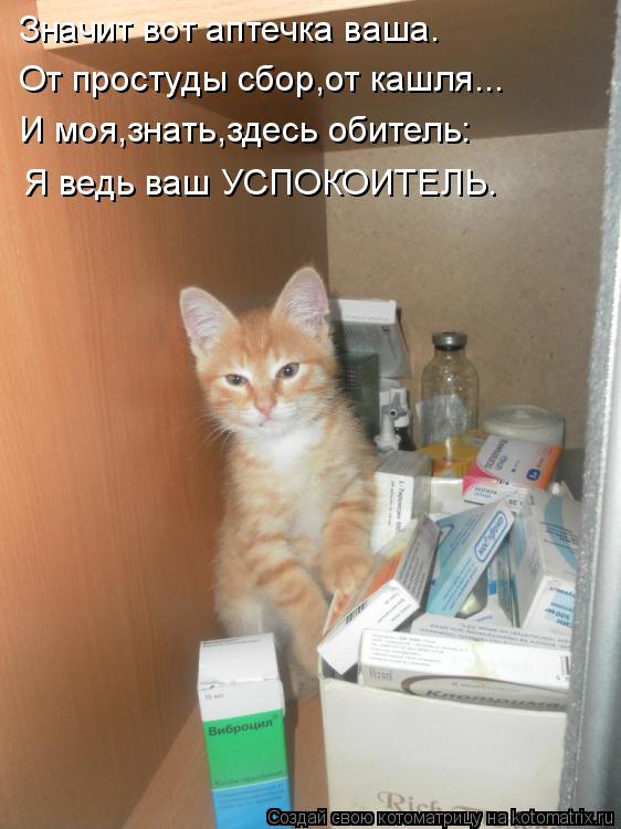 Значит вот аптечка ваша. От простуды сбор,от кашля... И моя,знать,здесь обитель: Я ведь ваш УСПОКОИТЕ... Котоматрица: Значит вот аптечка ваша. От простуды сбор,от кашля... И моя,знать,здесь обитель: Я ведь ваш УСПОКОИТЕЛЬ.