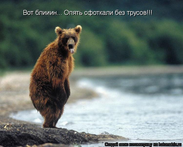 Котоматрица: Вот блииин... Опять сфоткали без трусов!!!