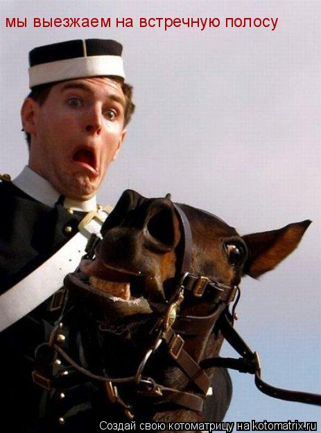 Котоматрица: мы выезжаем на встречную полосу