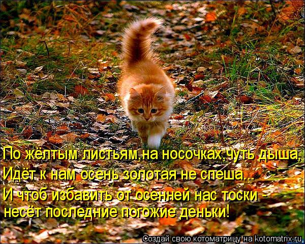 По жёлтым листьям,на носочках,чуть дыша, Идёт к нам осень золотая не спеша….. И чтоб избавить от осен... Котоматрица: По жёлтым листьям,на носочках,чуть дыша, Идёт к нам осень золотая не спеша….. И чтоб избавить от осенней нас тоски - несёт последние погожие