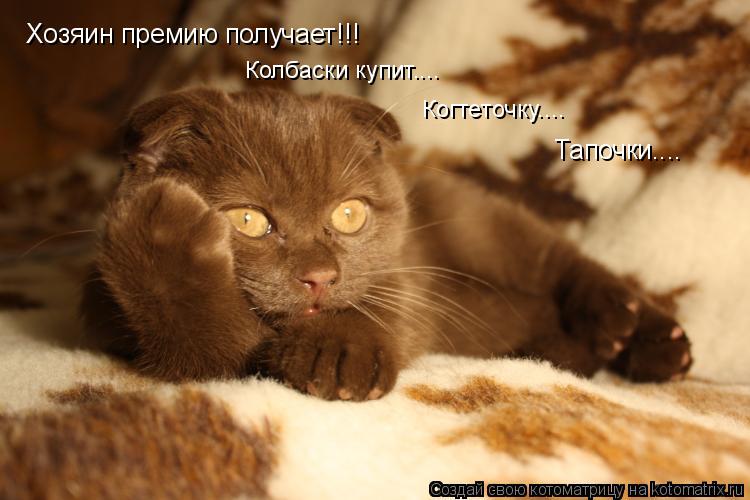 Котоматрица: Хозяин премию получает!!! Колбаски купит.... Когтеточку.... Тапочки....