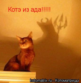 Котоматрица: Котэ из ада!!!!!