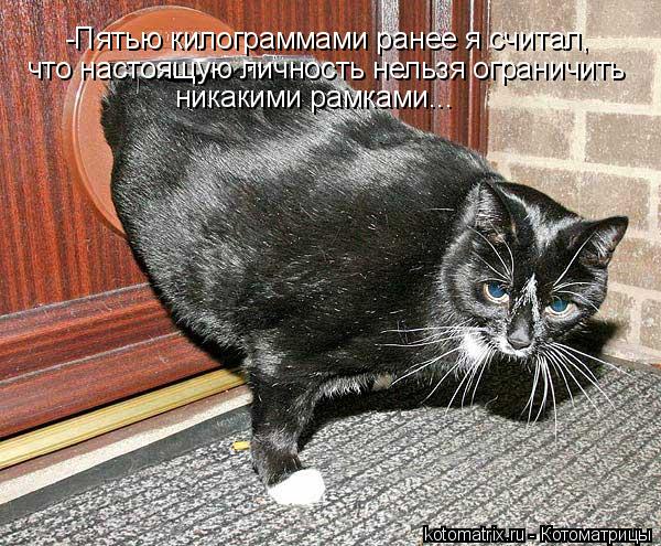 Котоматрица: -Пятью килограммами ранее я считал,  что настоящую личность нельзя ограничить  никакими рамками...
