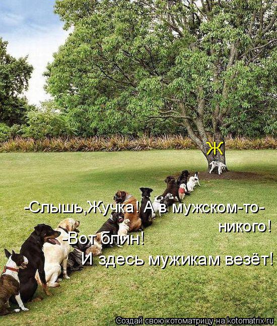 -Слышь,Жучка! А в мужском-то- никого! -Вот блин! И здесь мужикам везёт! Ж... Котоматрица: -Слышь,Жучка! А в мужском-то- никого! -Вот блин! И здесь мужикам везёт! Ж