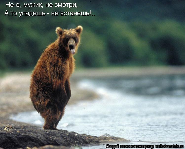 Котоматрица: Не-е, мужик, не смотри, А то упадешь - не встанешь!..