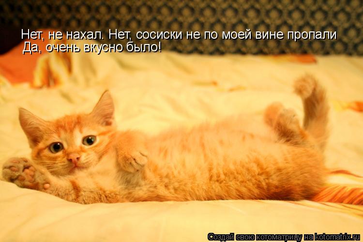 Котоматрица: Нет, не нахал. Нет, сосиски не по моей вине пропали Да, очень вкусно было!
