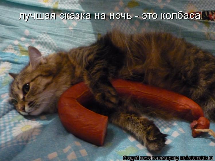 Котоматрица: лучшая сказка на ночь - это колбаса!