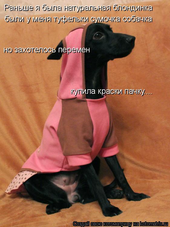 Котоматрица: Раньше я была натуральная блондинка  Раньше я была натуральная блондинка  но захотелось перемен купила краски пачку.... были у меня туфельки