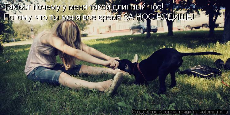 Так вот почему у меня такой длинный нос! Потому, что ты меня все время ЗА НОС ВОДИШЬ!... Котоматрица: Так вот почему у меня такой длинный нос! Потому, что ты меня все время ЗА НОС ВОДИШЬ!