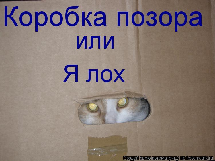 Коробка позора или Я лох... Котоматрица: Коробка позора или Я лох