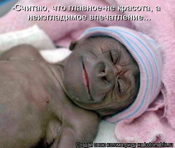 -Считаю, что главное-не красота, а неизгладимое впечатление...... Котоматрица: -Считаю, что главное-не красота, а неизгладимое впечатление...