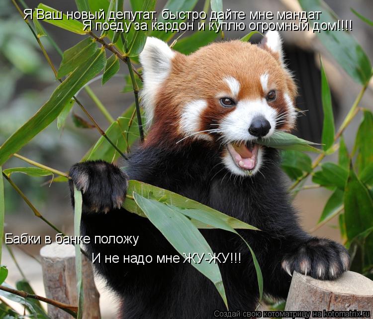 Котоматрица: Я Ваш новый депутат, быстро дайте мне мандат Я поеду за кардон и куплю огромный дом!!!! Бабки в банке положу И не надо мне ЖУ-ЖУ!!!