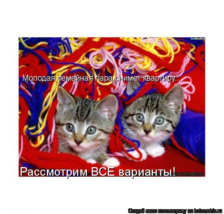 Котоматрица: Молодая семейная пара снимет квартиру... Рассмотрим ВСЕ варианты!