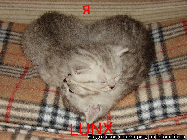 Котоматрица: я LUNX