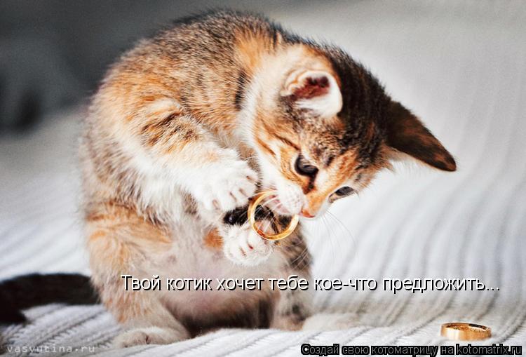 Котоматрица: Твой котик хочет тебе кое-что предложить...