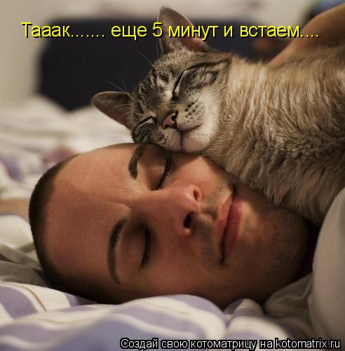 Котоматрица: Тааак....... еще 5 минут и встаем....
