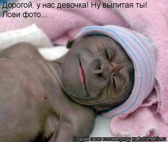 Котоматрица: Дорогой, у нас девочка! Ну вылитая ты! Лови фото...