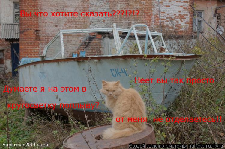 Вы что хотите сказать???!?!? Думаете я на этом в кругосветку поплыву? Неет вы так просто от меня не... Котоматрица: Вы что хотите сказать???!?!? Думаете я на этом в кругосветку поплыву? Неет вы так просто от меня не отделаетесь!!