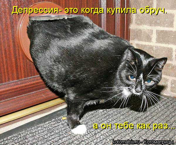 Котоматрица: Депрессия- это когда купила обруч.   а он тебе как раз....