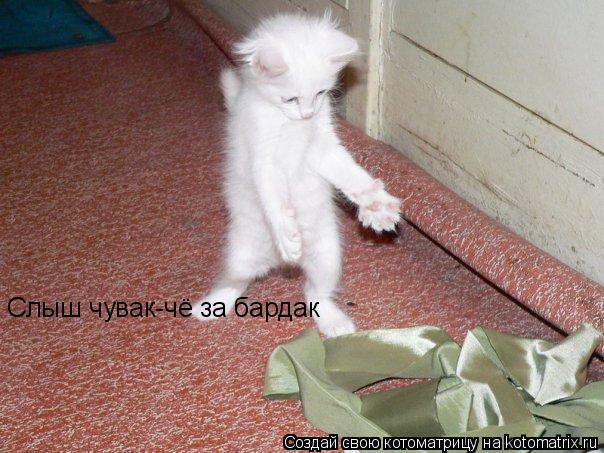 Слыш чувак-чё за бардак... Котоматрица: Слыш чувак-чё за бардак
