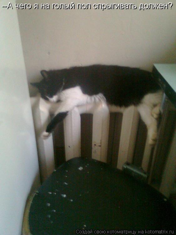 --А чего я на голый пол спрыгивать должен?... Котоматрица: --А чего я на голый пол спрыгивать должен?