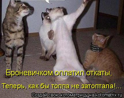 Котоматрица: Броневичком оплатил откаты, Теперь, как бы толпа не затоптала!...