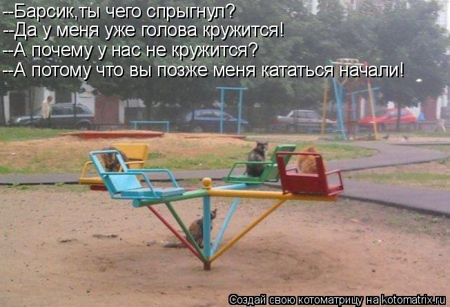 Котоматрица: --Барсик,ты чего спрыгнул? --Да у меня уже голова кружится! --А почему у нас не кружится? --А потому что вы позже меня кататься начали!