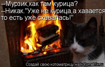 Котоматрица: --Мурзик,как там курица? --Никак."Уже не курица,а хавается, то есть уже схавалась!"