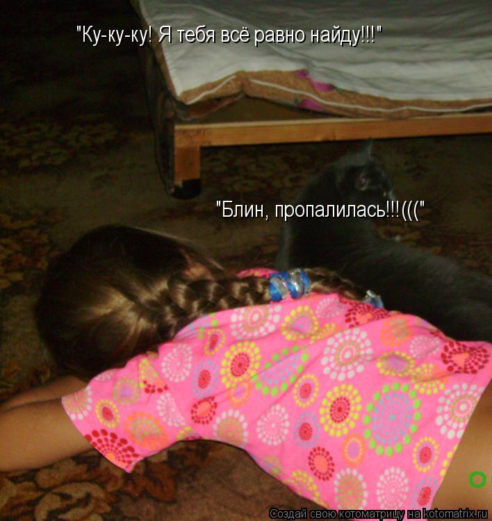 Котоматрица: "Ку-ку-ку! Я тебя всё равно найду!!!"     "Блин, пропалилась!!!((("