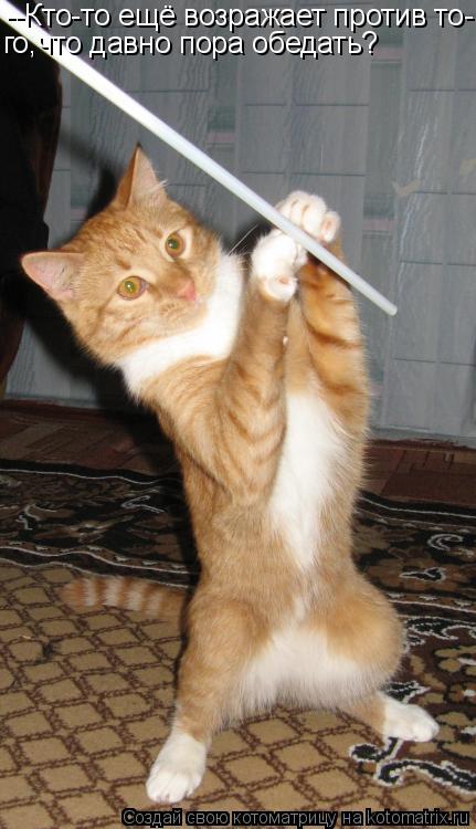 Котоматрица: --Кто-то ещё возражает против то- го,что давно пора обедать?