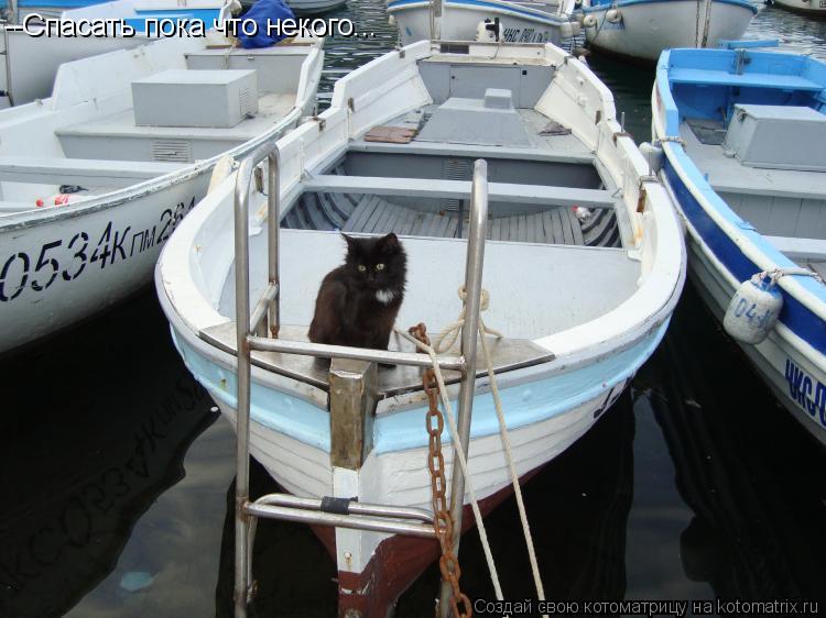 Котоматрица: --Спасать пока что некого...