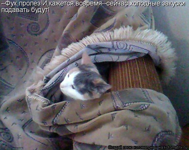 Котоматрица: --Фух,пролез!И,кажется,вовремя--сейчас холодные закуски подавать будут!