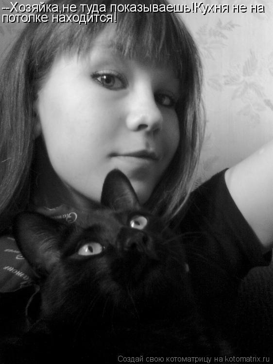 Котоматрица: --Хозяйка,не туда показываешь!Кухня не на потолке находится!