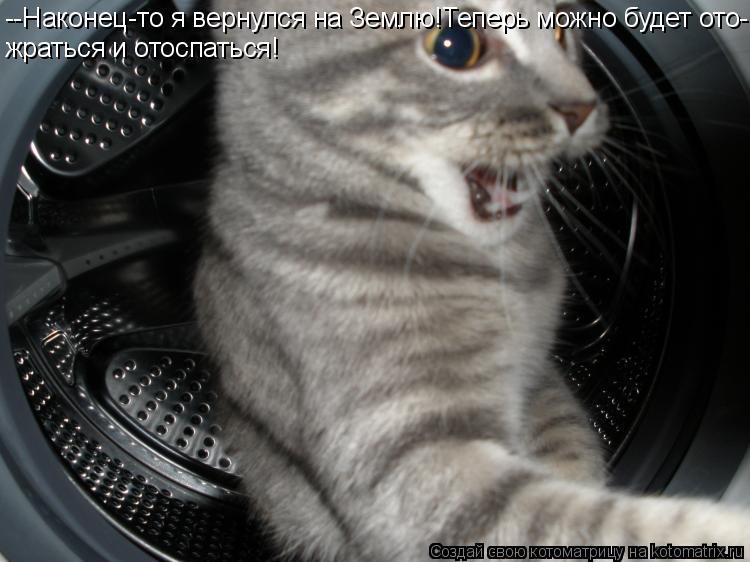 Котоматрица: --Наконец-то я вернулся на Землю!Теперь можно будет ото- жраться и отоспаться!