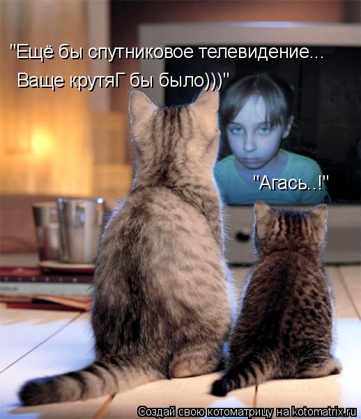 Котоматрица: "Ещё бы спутниковое телевидение... Ваще крутяГ бы было)))" "Агась..!"