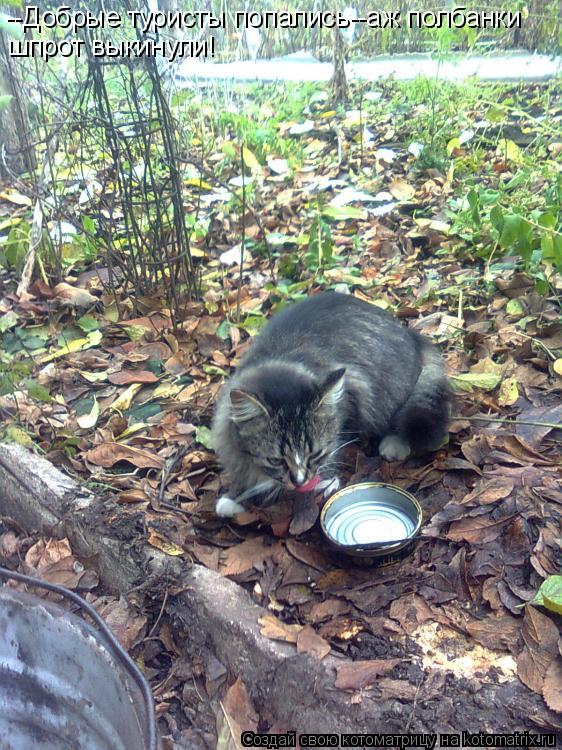 --Добрые туристы попались--аж полбанки шпрот выкинули!... Котоматрица: --Добрые туристы попались--аж полбанки шпрот выкинули!