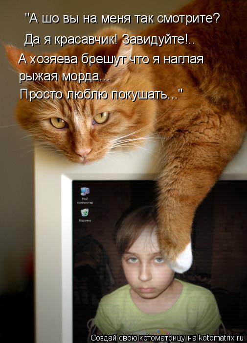 "А шо вы на меня так смотрите? Да я красавчик! Завидуйте!.. А хозяева брешут что я наглая рыжая мо... Котоматрица: "А шо вы на меня так смотрите? Да я красавчик! Завидуйте!.. А хозяева брешут что я наглая рыжая морда... Просто люблю покушать..."