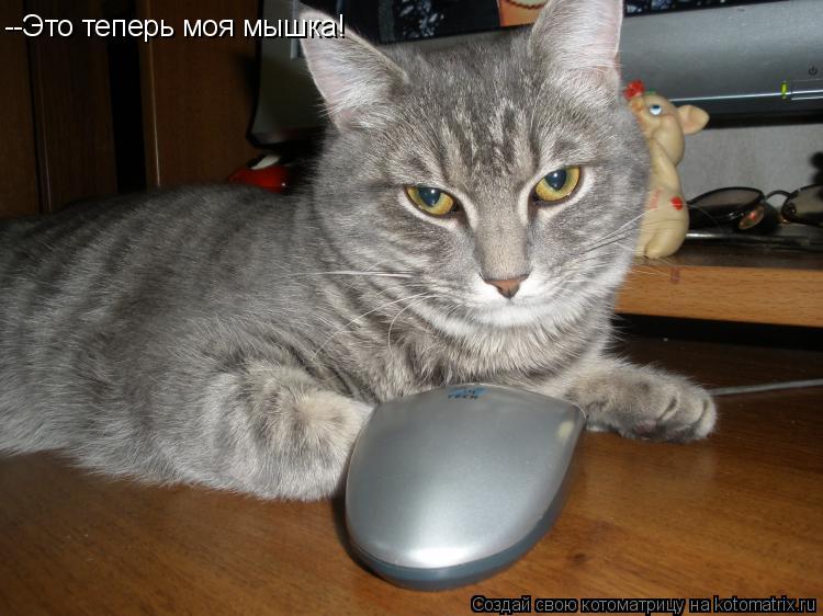 --Это теперь моя мышка!... Котоматрица: --Это теперь моя мышка!