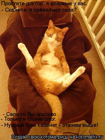 Простите доктор, я впервые у вас. - Скажите, я правильно села? - Сели то Вы красиво. - Только я ст... Котоматрица: Простите доктор, я впервые у вас. - Скажите, я правильно села? - Сели то Вы красиво. - Только я стоматолог. - Нужный Вам кабинет - этажем выше!