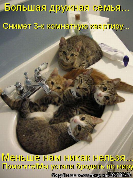 Большая дружная семья... Снимет 3-х комнатную квартиру... Меньше нам никак нельзя... Помогите!Мы уста... Котоматрица: Большая дружная семья... Снимет 3-х комнатную квартиру... Меньше нам никак нельзя... Помогите!Мы устали бродить по миру!