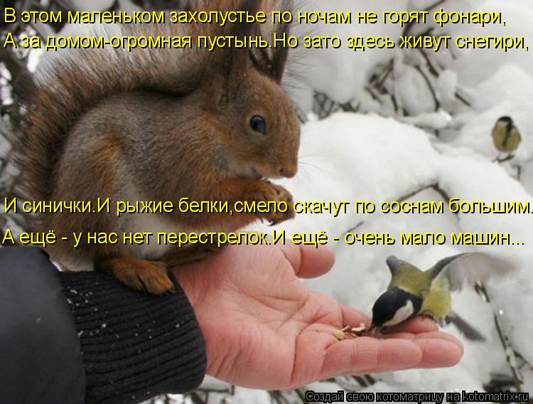 И синички.И рыжие белки,смело скачут по соснам большим... А ещё - у нас нет перестрелок.И ещё - очень... Котоматрица: И синички.И рыжие белки,смело скачут по соснам большим... А ещё - у нас нет перестрелок.И ещё - очень мало машин... В этом маленьком захолустье п