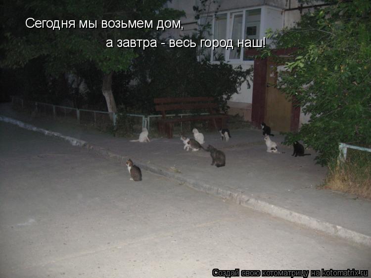 Котоматрица: Сегодня мы возьмем дом,  а завтра - весь город наш!
