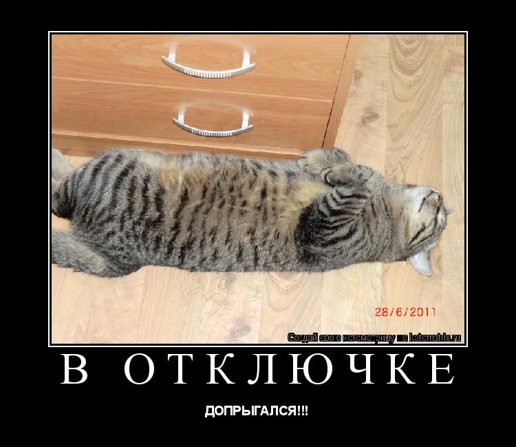 Котоматрица: в отключке ДОПРЫГАЛСЯ!!!