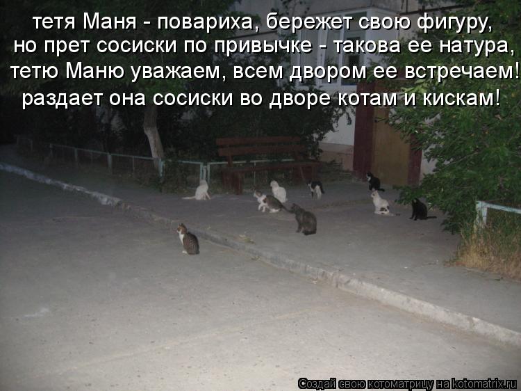 Котоматрица: тетя Маня - повариха, бережет свою фигуру, но прет сосиски по привычке - такова ее натура, тетю Маню уважаем, всем двором ее встречаем! раздае