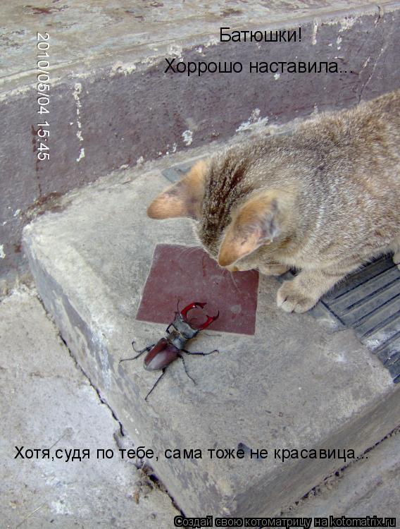 Котоматрица: Батюшки!  Хоррошо наставила... Хотя,судя по тебе, сама тоже не красавица...