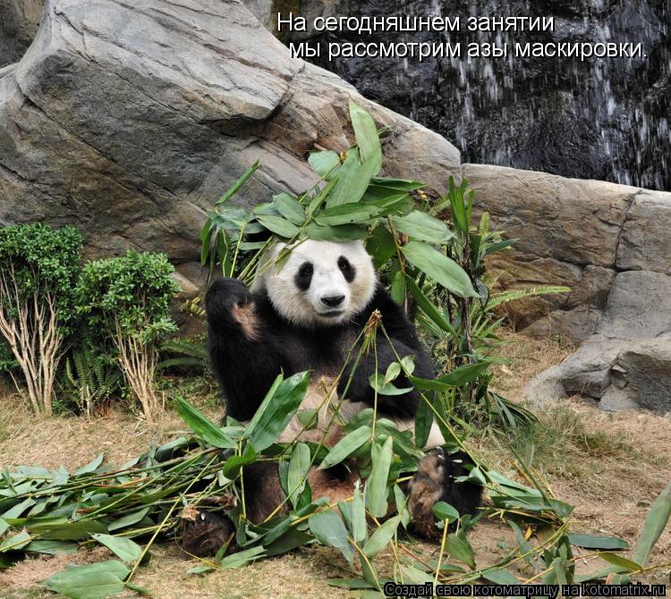 На сегодняшнем занятии мы рассмотрим азы маскировки.... Котоматрица: На сегодняшнем занятии мы рассмотрим азы маскировки.