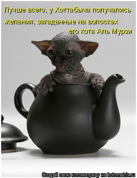 Лучше всего, у Хоттабыча получались желания, загаданные на волосках его кота Аль Мурзи... Котоматрица: Лучше всего, у Хоттабыча получались желания, загаданные на волосках его кота Аль Мурзи