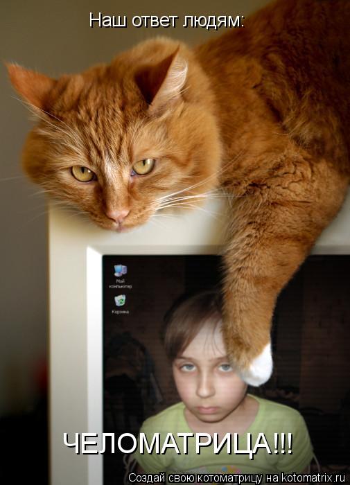 ЧЕЛОМАТРИЦА!!! Наш ответ людям:... Котоматрица: ЧЕЛОМАТРИЦА!!! Наш ответ людям: