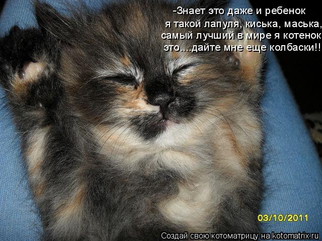 -Знает это даже и ребенок я такой лапуля, киська, маська, самый лучший в мире я котенок! это....дайте... Котоматрица: -Знает это даже и ребенок я такой лапуля, киська, маська, самый лучший в мире я котенок! это....дайте мне еще колбаски!!