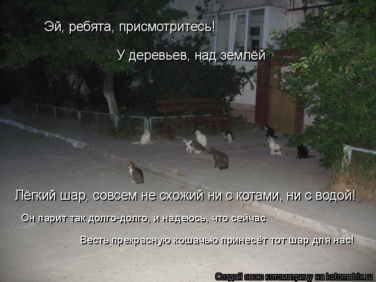 Эй, ребята, присмотритесь! У деревьев, над землёй Лёгкий шар, совсем не схожий ни с котами, ни с водо... Котоматрица: Эй, ребята, присмотритесь! У деревьев, над землёй Лёгкий шар, совсем не схожий ни с котами, ни с водой! Он парит так долго-долго, и надеюсь, что